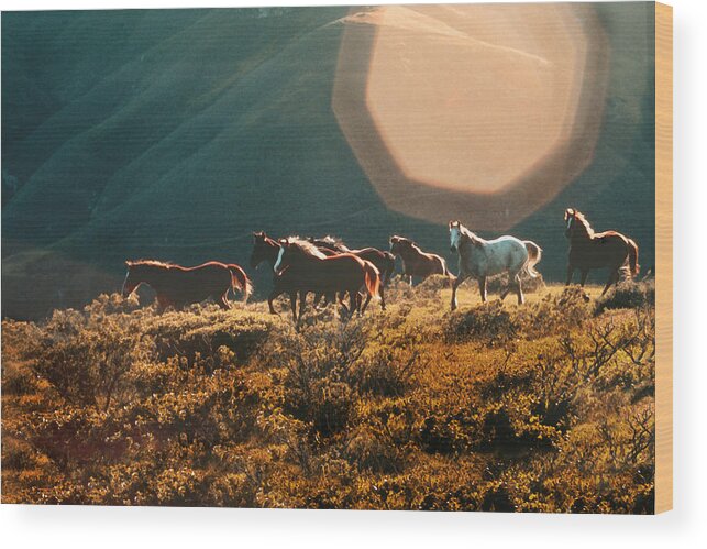 Magical Scenic Herd Wood Print featuring the painting Magical herd by Melinda Hughes-Berland