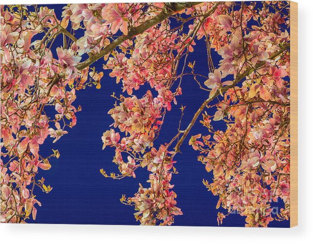 America Wood Print featuring the digital art Magnolia - Redlight by Susan Cole Kelly Impressions