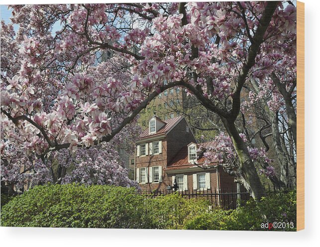 Magnolia Garden Wood Print featuring the photograph Magnolia Garden 2013 by Andrew Dinh