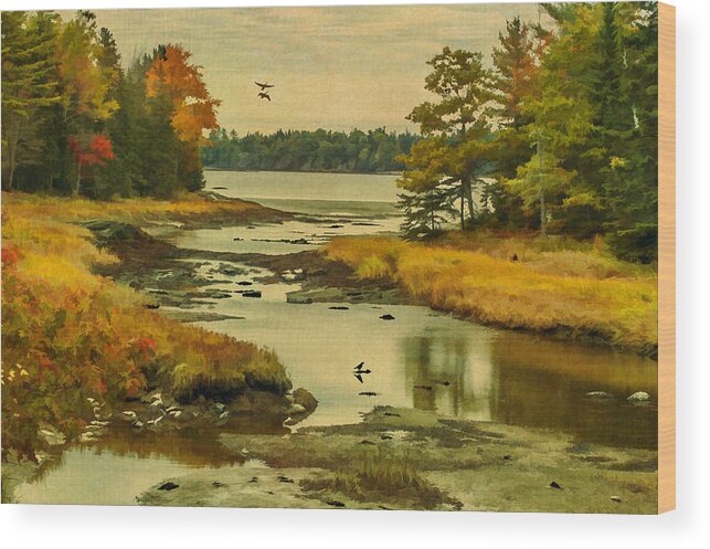Maine Wood Print featuring the photograph Maine Wetlands by Cathy Kovarik