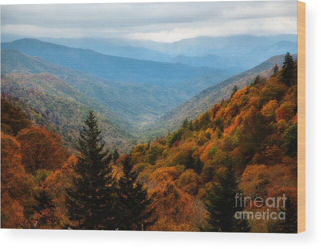 Autumn Foliage Wood Print featuring the photograph Majestic Autumn In The Smokies by Deborah Scannell
