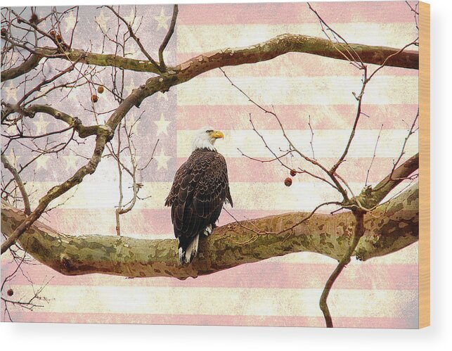 Eagle Wood Print featuring the photograph Majestic II by Trina Ansel