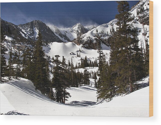 Landscape Wood Print featuring the photograph Majestic by Steven Reed
