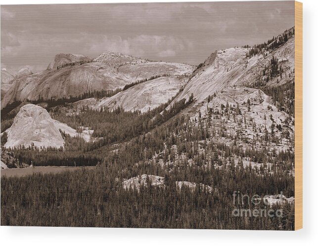 Photographic Landscapes; Art And Canvas Prints For Sale Ie; Yosemite National Park Poster Art; Yosemite Mountains And Streams; National Park Landscape Images; Metal Prints; Canvas Stretched Artists Prints; Mary Lou Chmura Fine Art America; Wall Decor And Murals; Wood Print featuring the photograph Majesty Mountains Sepia by Mary Lou Chmura