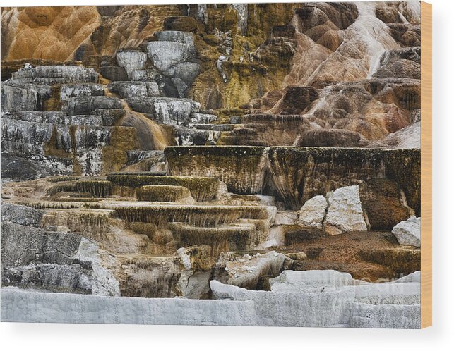 Yellowstone Wood Print featuring the photograph Mammoth Hot Springs - Yellowstone by Belinda Greb