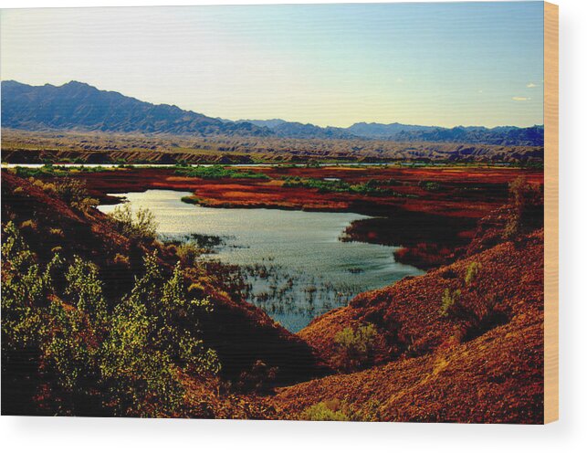 Marsh Wood Print featuring the photograph Marsh and River by Antonia Citrino