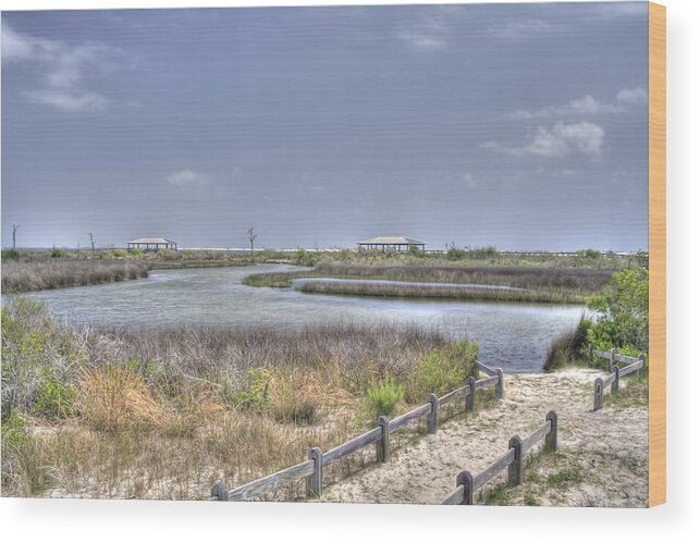 Pensacola Wood Print featuring the photograph Marsh by David Troxel