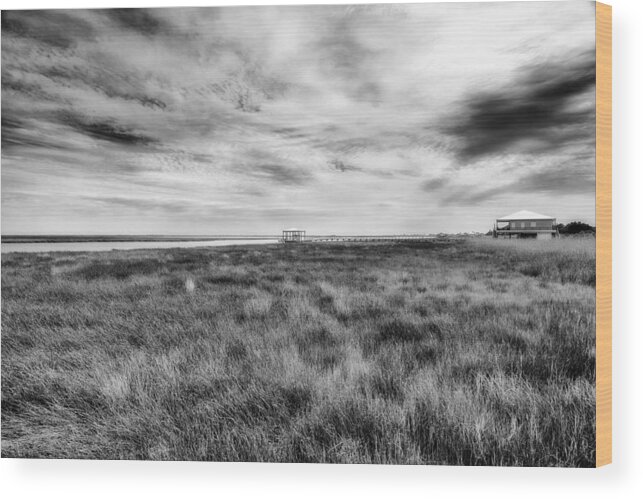 Gulf Of Mexico Wood Print featuring the photograph Marsh Life by Raul Rodriguez