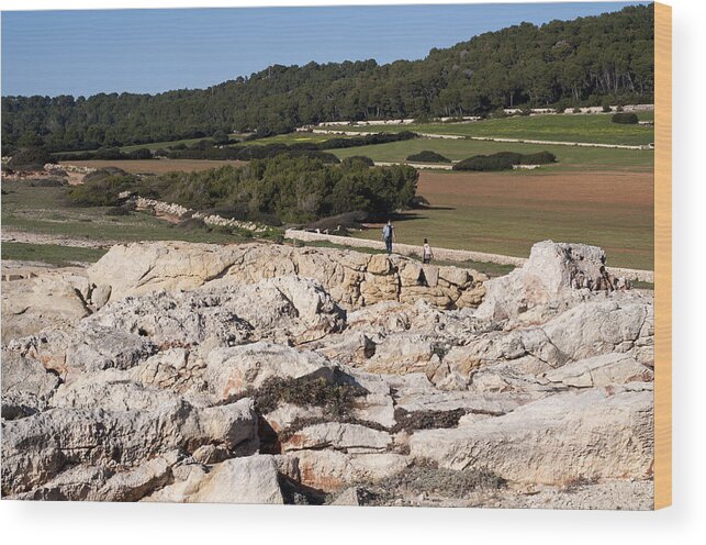 Agriculture Wood Print featuring the photograph A walk among rocks trees and green land in Minorca - Marvelous walkabout by Pedro Cardona Llambias