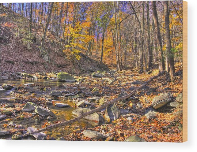 Maryland Wood Print featuring the photograph Maryland Country Roads - Autumn Colorfest No. 9 - Catoctin Mountains Frederick County MD by Michael Mazaika