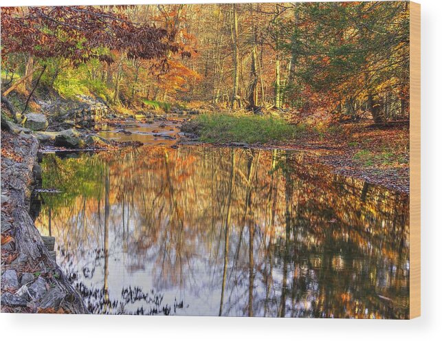Maryland Wood Print featuring the photograph Maryland Country Roads - Moments for Reflection No. 1 - Cunningham Falls State Park Autumn by Michael Mazaika