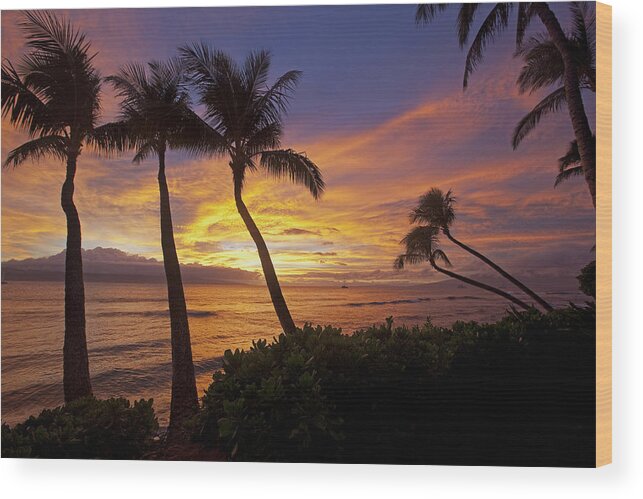 Maui Hawaii Sunset Palmtrees Ocean Clouds Sky Wood Print featuring the photograph Maui Sunset by James Roemmling