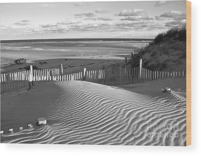 Mayflower Beach Wood Print featuring the photograph Mayflower Beach Black and White by Amazing Jules