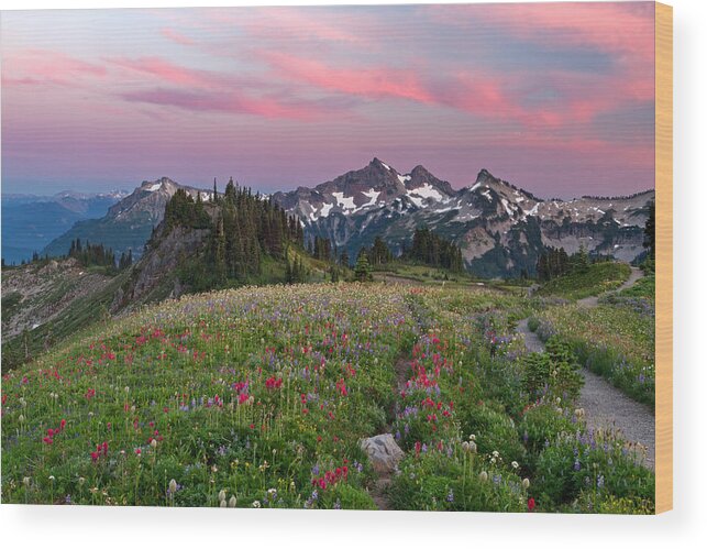 Mountains Wood Print featuring the photograph Mazama Ridge Wildflowers by Michael Russell