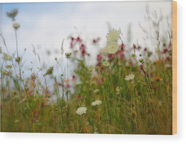 Nature Wood Print featuring the photograph Meadow Flowers by Tracy Male