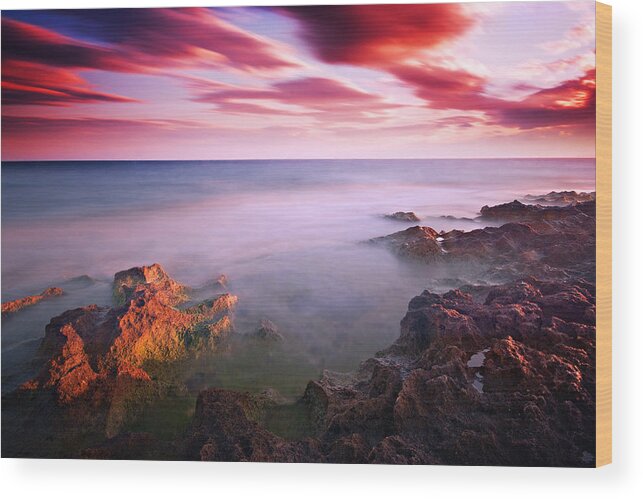 Mediterranean Sea Wood Print featuring the photograph Mediterranean Sunset / Nabeul by Barry O Carroll