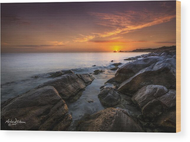 Beach Wood Print featuring the photograph Meelup Beach by Andrew Dickman