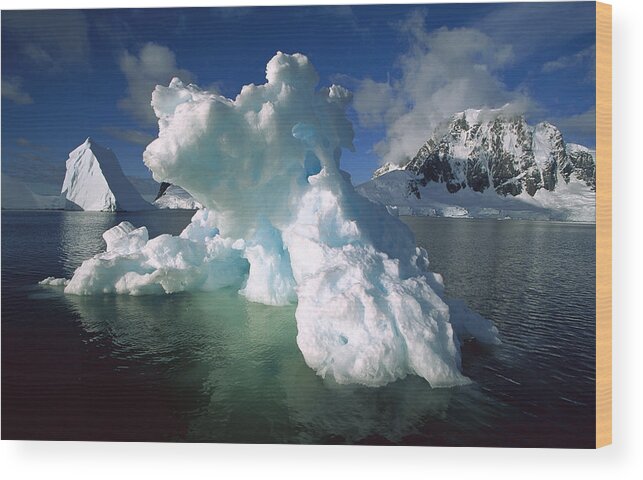 Feb0514 Wood Print featuring the photograph Melting Iceberg Lemaire Channel by Colin Monteath