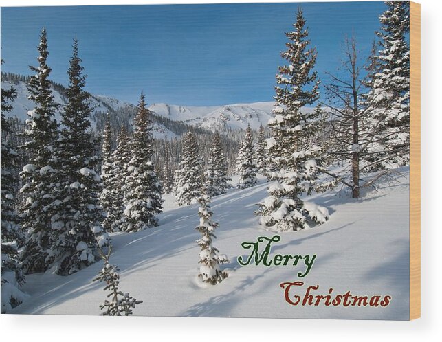 Merry Christmas Wood Print featuring the photograph Merry Christmas - Winter Wonderland by Cascade Colors