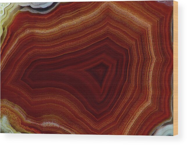 Mineral Wood Print featuring the photograph Mexican Laguna Agate, Close-up by Darrell Gulin