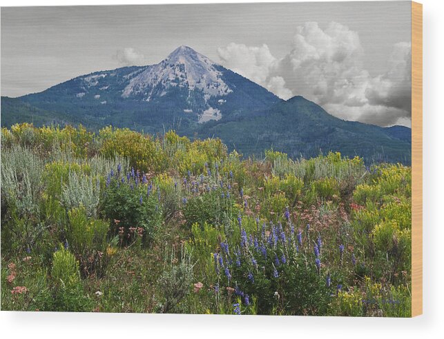 Flaura Wood Print featuring the photograph Mid Summer Morning by Daniel Hebard