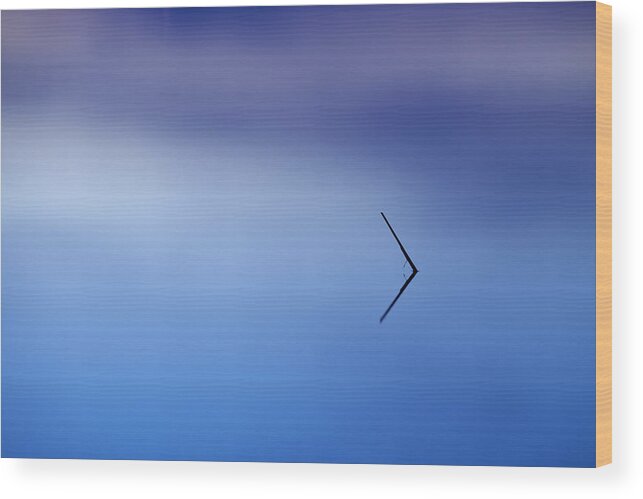 Blue Wood Print featuring the photograph Minimalistic by Ivan Slosar