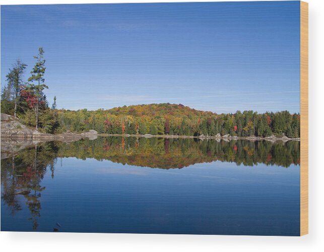 Reflective Water Wood Print featuring the photograph Mirror Mirror by David Barker