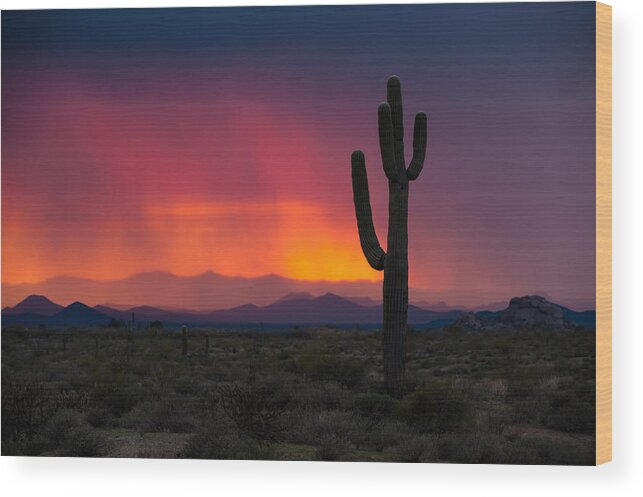Sunset Wood Print featuring the photograph Mist at Sunset by Paul Johnson 
