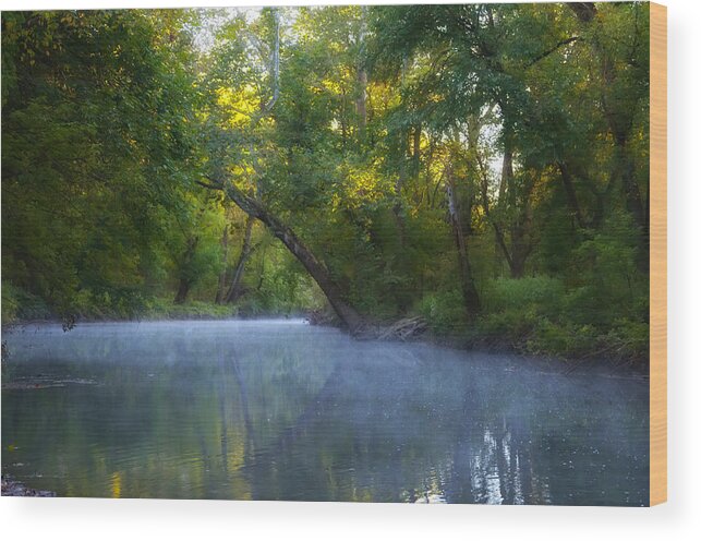 Mist Wood Print featuring the photograph Mist on the Wissahickon by Bill Cannon