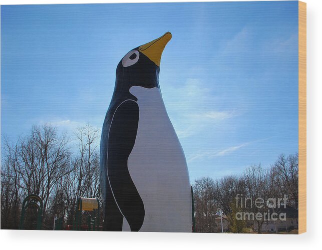 Penguin Wood Print featuring the photograph Mister Penquine by Robyn Louisell