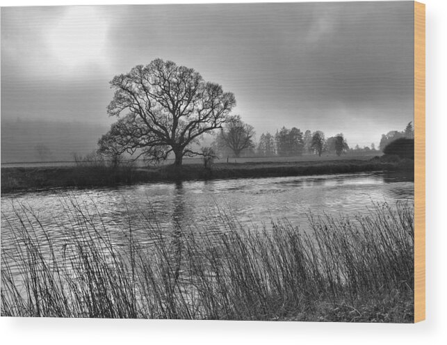 Mist Wood Print featuring the photograph Misty Light by Joe Ormonde