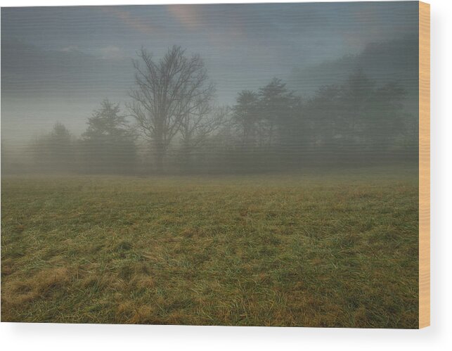 Landscape Wood Print featuring the photograph Misty Morning - Cades Cove by Doug McPherson
