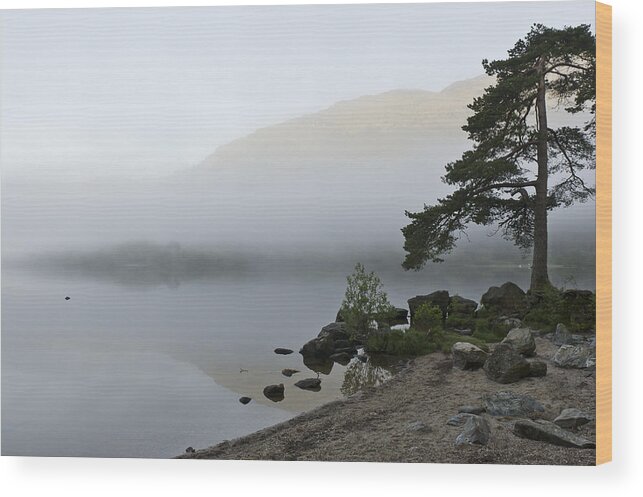Mist Wood Print featuring the photograph Misty morning by Gary Eason