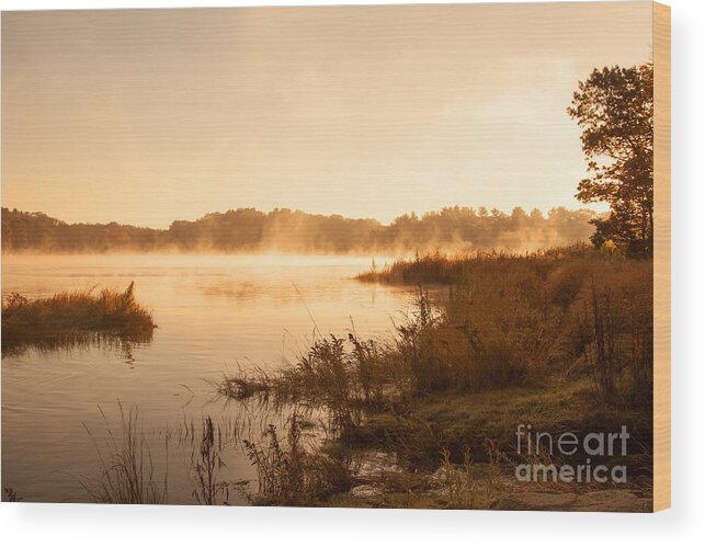 Fog Wood Print featuring the photograph Misty Morning by K Hines