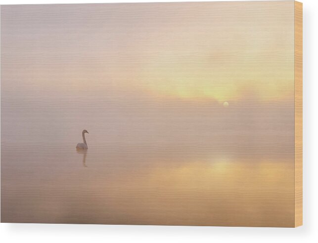 Water Wood Print featuring the photograph Misty Morning by Katarzyna Gritzmann