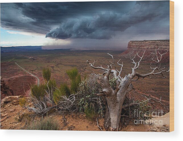 Utah Wood Print featuring the photograph Moki Dugway Thunderstorm - Southern Utah by Gary Whitton