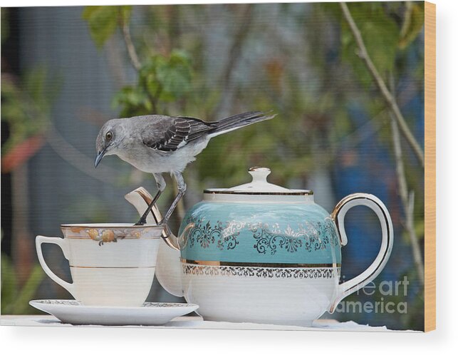 Mockingbird Photography Wood Print featuring the photograph Mockingbird Photo and Tea Time by Luana K Perez