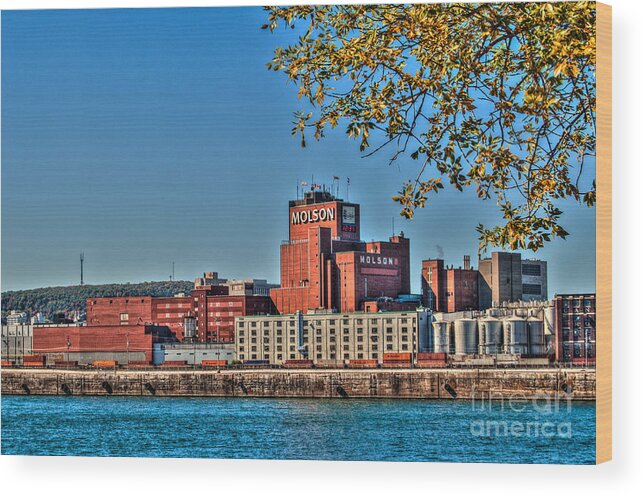 Molson Wood Print featuring the photograph Molson Brewery by Bianca Nadeau
