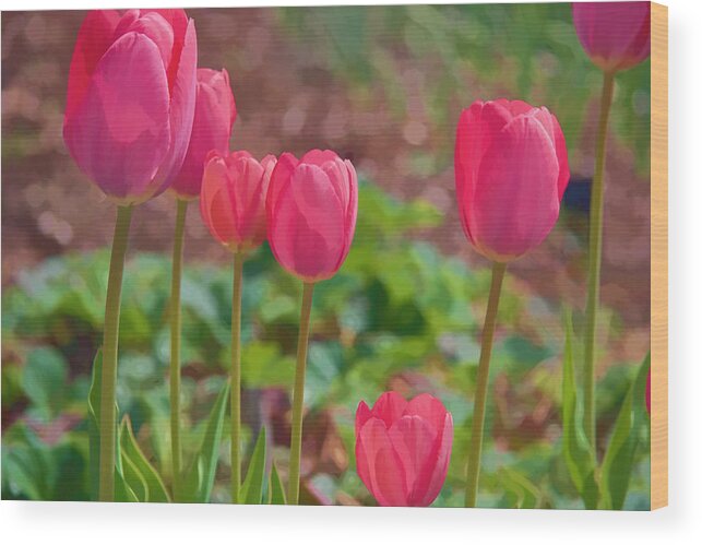 Spring Wood Print featuring the photograph Mom's Spring by Kathy Bassett