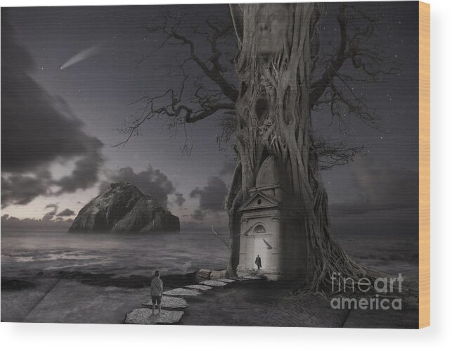 Stars Photography Wood Print featuring the photograph Monument by Keith Kapple