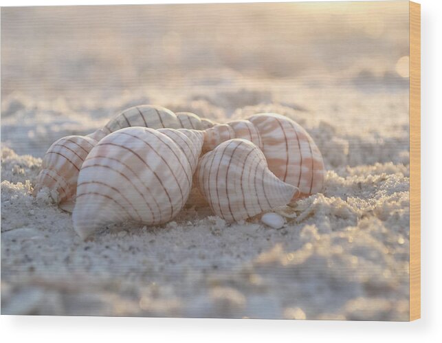 Seashore Wood Print featuring the photograph Mood to Moment by Melanie Moraga