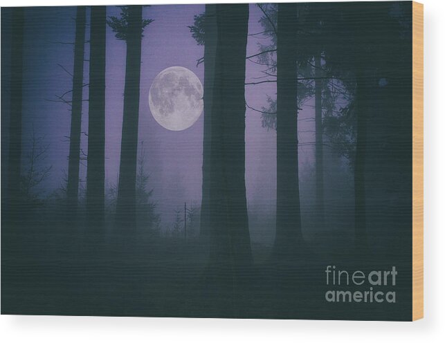 Landscape Wood Print featuring the photograph Moon and Fog in a Forest by Sabine Jacobs