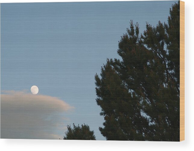 David S Reynolds Wood Print featuring the photograph Moon over cloud by David S Reynolds