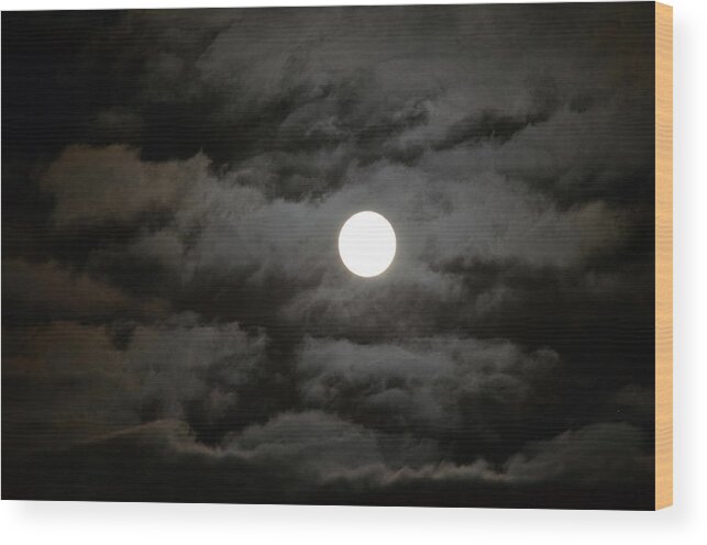 Moon Wood Print featuring the photograph Moonlight Magic by Cathy Shiflett