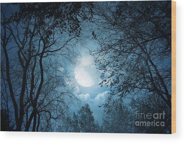 Moonlight Wood Print featuring the photograph Moonlight with Forest by Boon Mee
