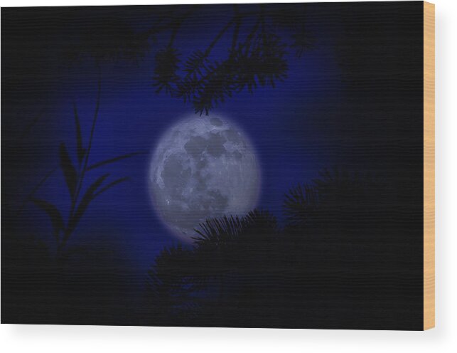 Silhouette Wood Print featuring the photograph Moonlit Silhouettes by Rick Bartrand