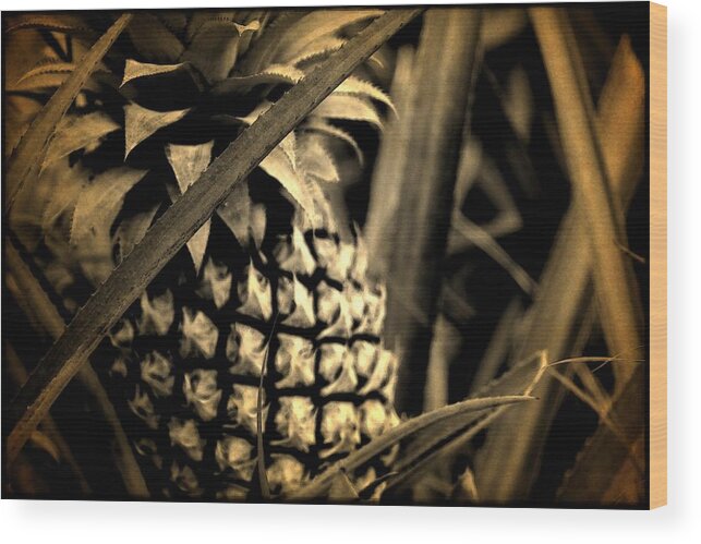 Polynesia Wood Print featuring the digital art Moorea Pineapple by Milton Thompson