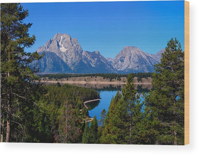 Tetons Wood Print featuring the photograph Moran Morning by Greg Norrell