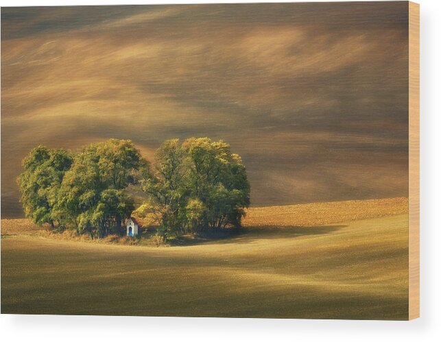 Fields Wood Print featuring the photograph Moravian Fields... by Krzysztof Browko