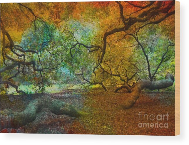 #angel Wood Print featuring the photograph More Colors by Kathleen Struckle